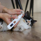 CalmClips for Cats